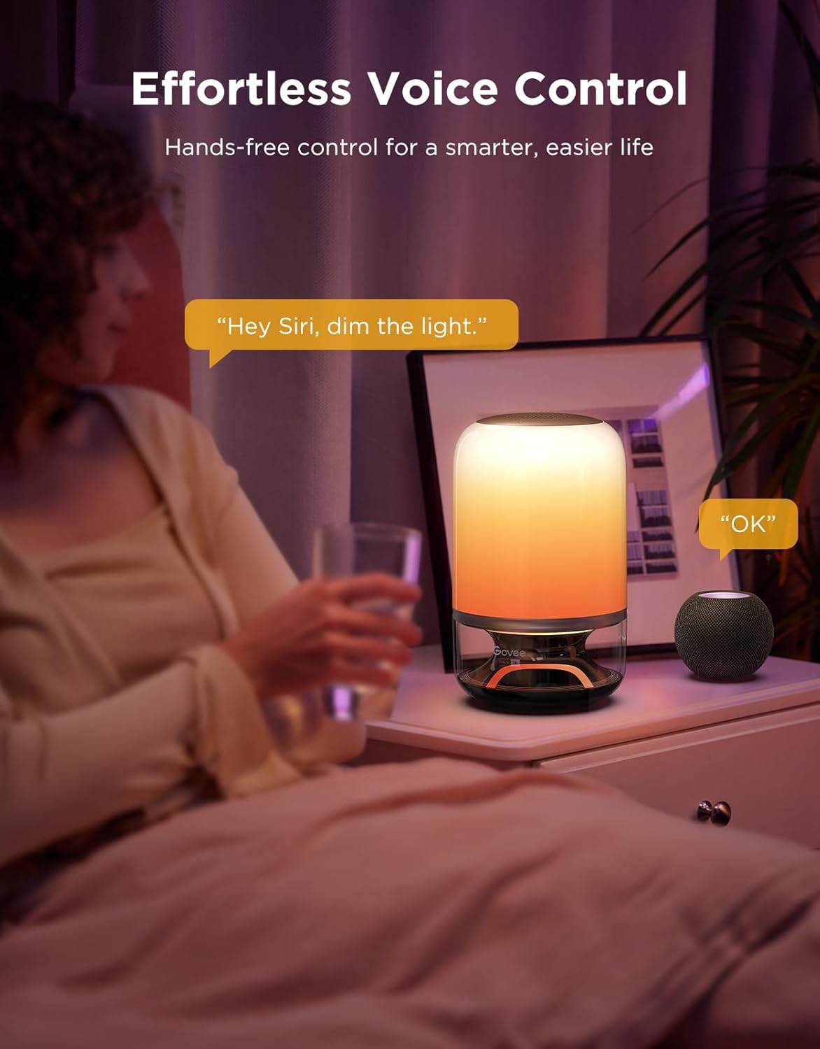 Govee Table Lamp 2 Pro x Sound by JB