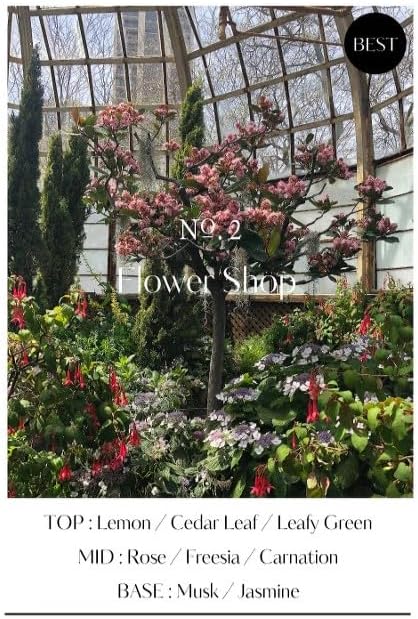 HETRAS Premium Reed Diffuser