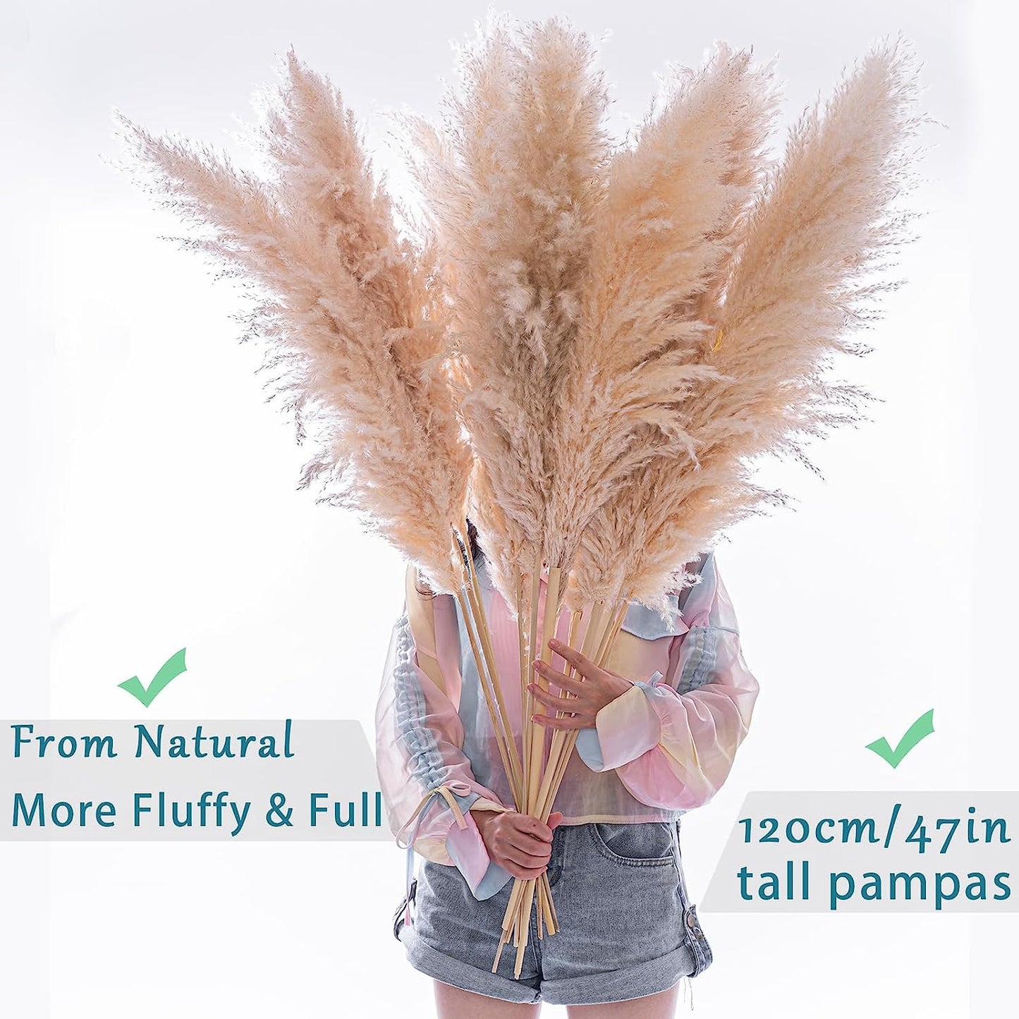 10 Stems 47In Natural Pampas Grass