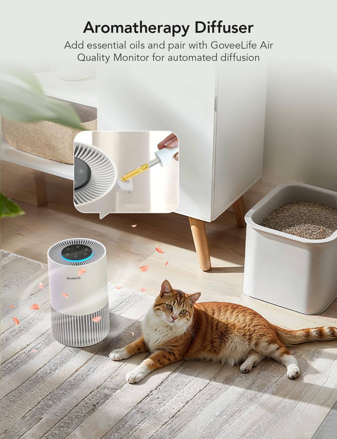 GoveeLife Smart Air Purifiers for Bedroom