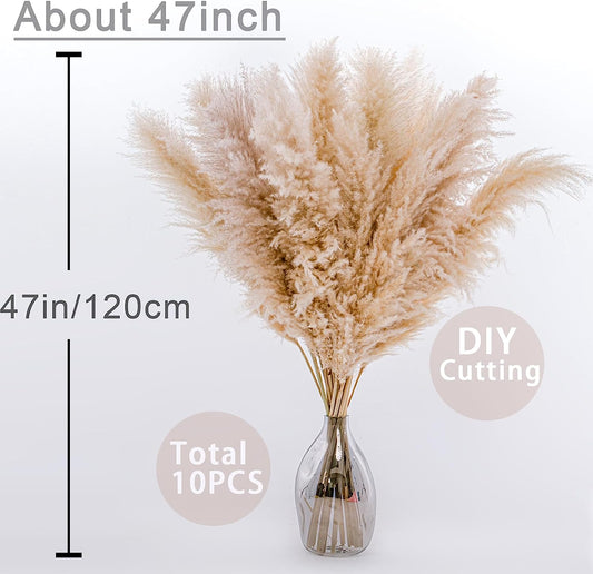 10 Stems 47In Natural Pampas Grass