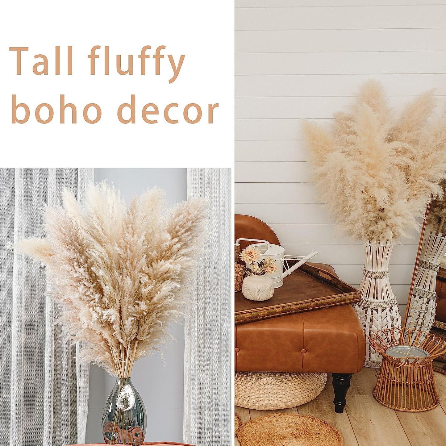 10 Stems 47In Natural Pampas Grass