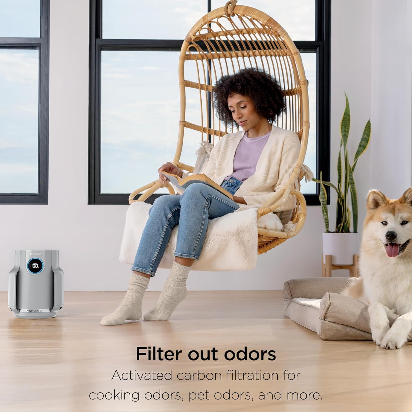 Shark Air Purifier for Home, NeverChange Compact Pro