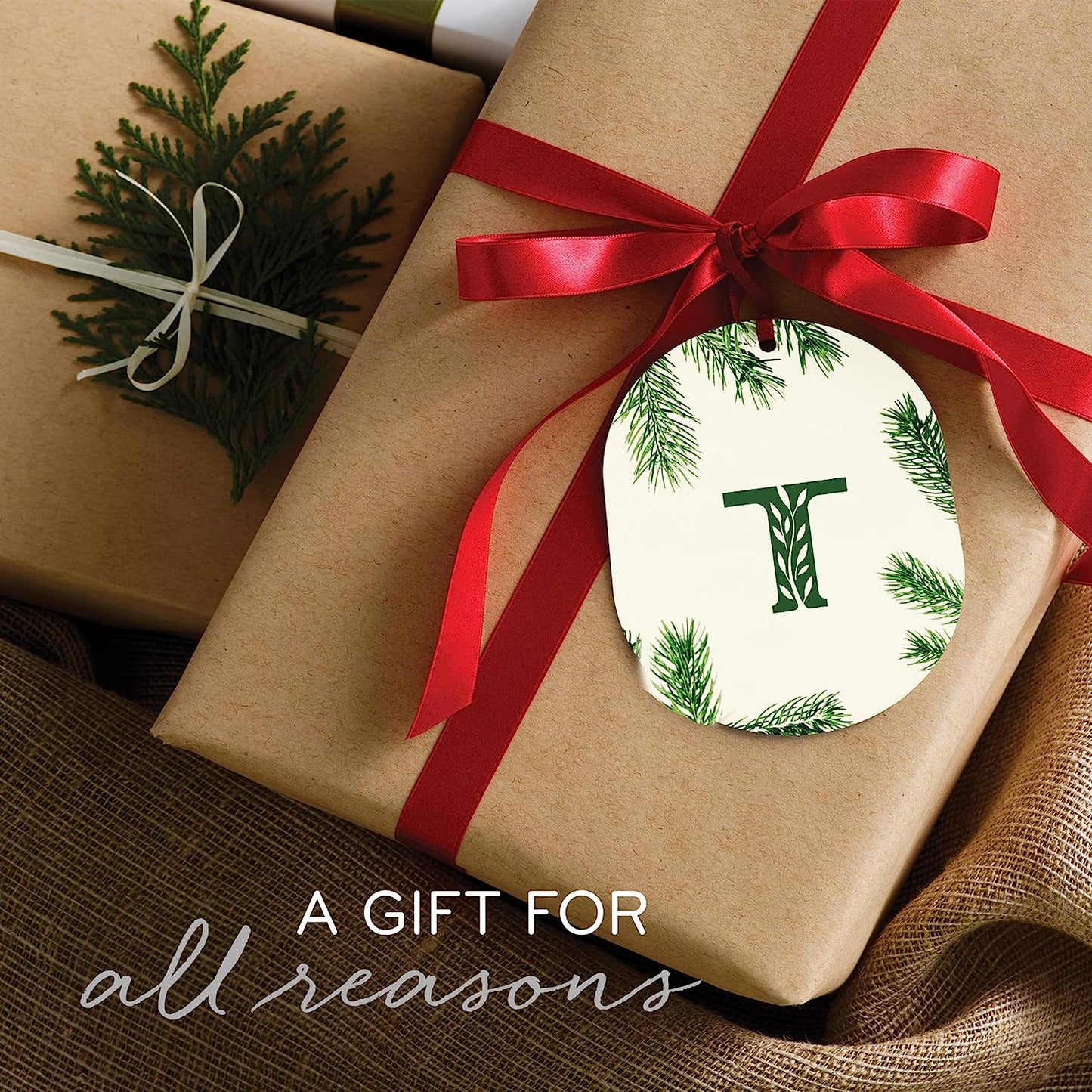 Thymes Pine Needle Petite Reed Diffuser