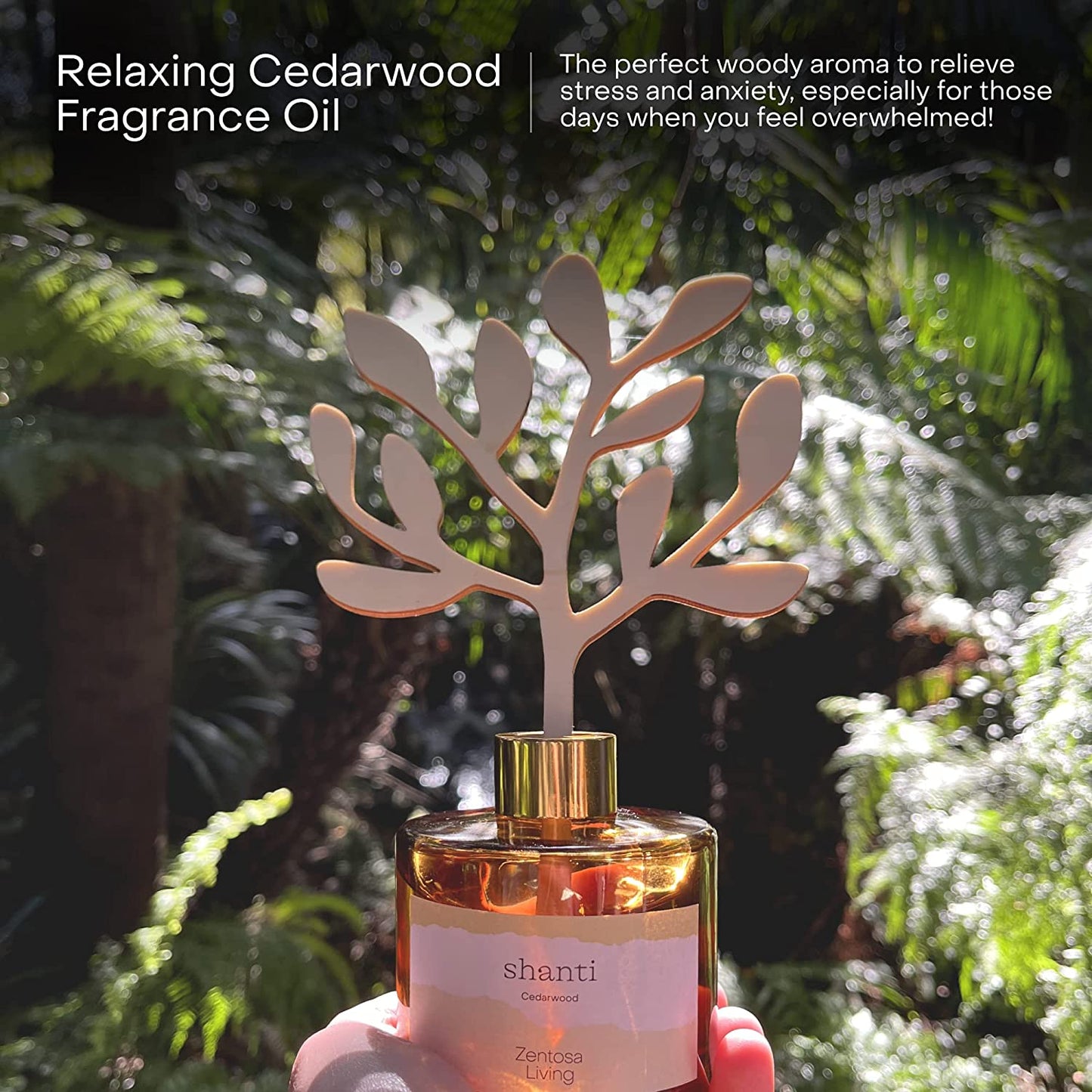 Zentosa Living Reed Diffusers