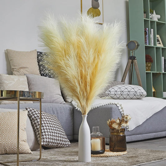 MDODM Pampas Grass
