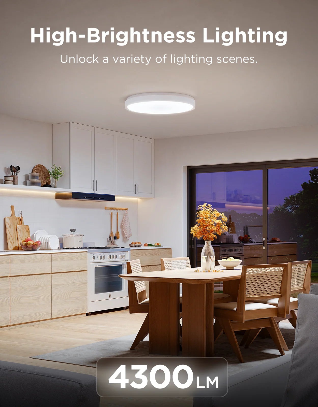 Govee 15-Inch RGBICWW Smart Ceiling Light Pro