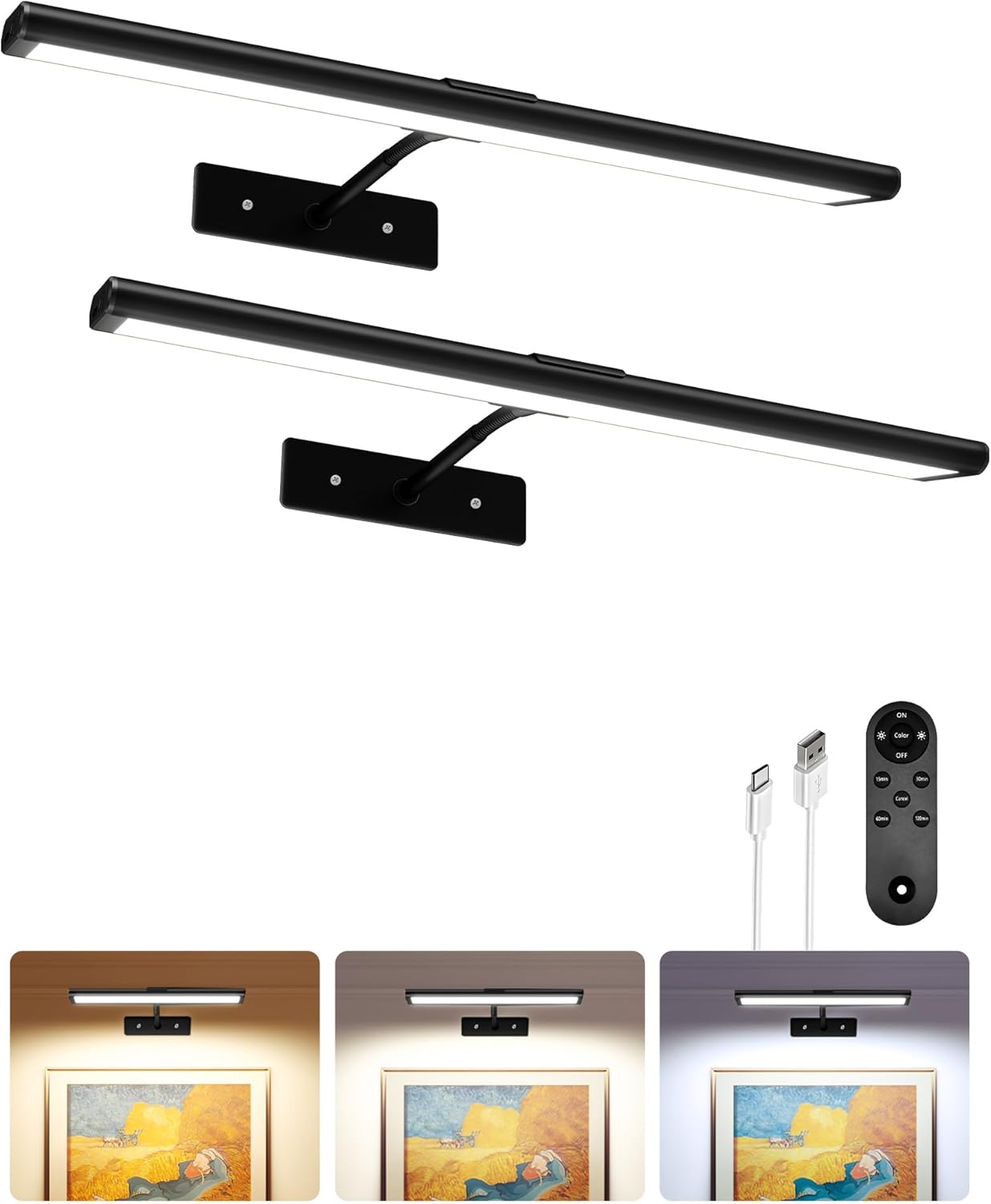 EZVALO Picture Light for Wall