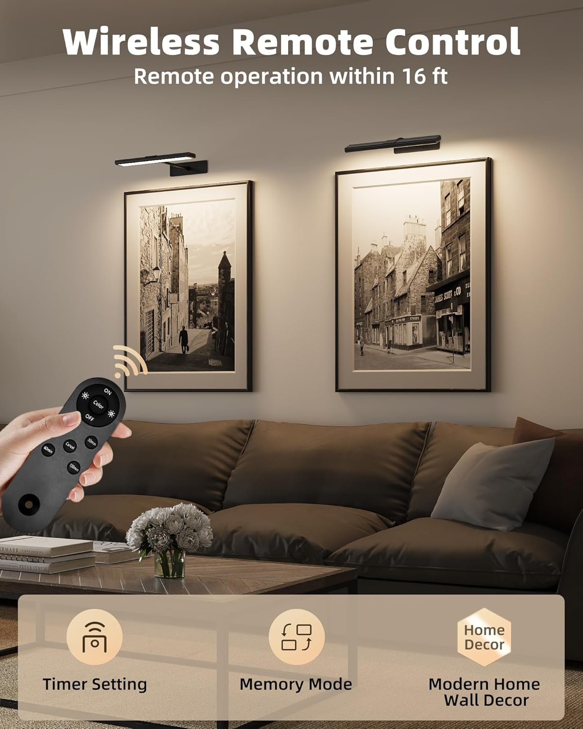 EZVALO Picture Light for Wall