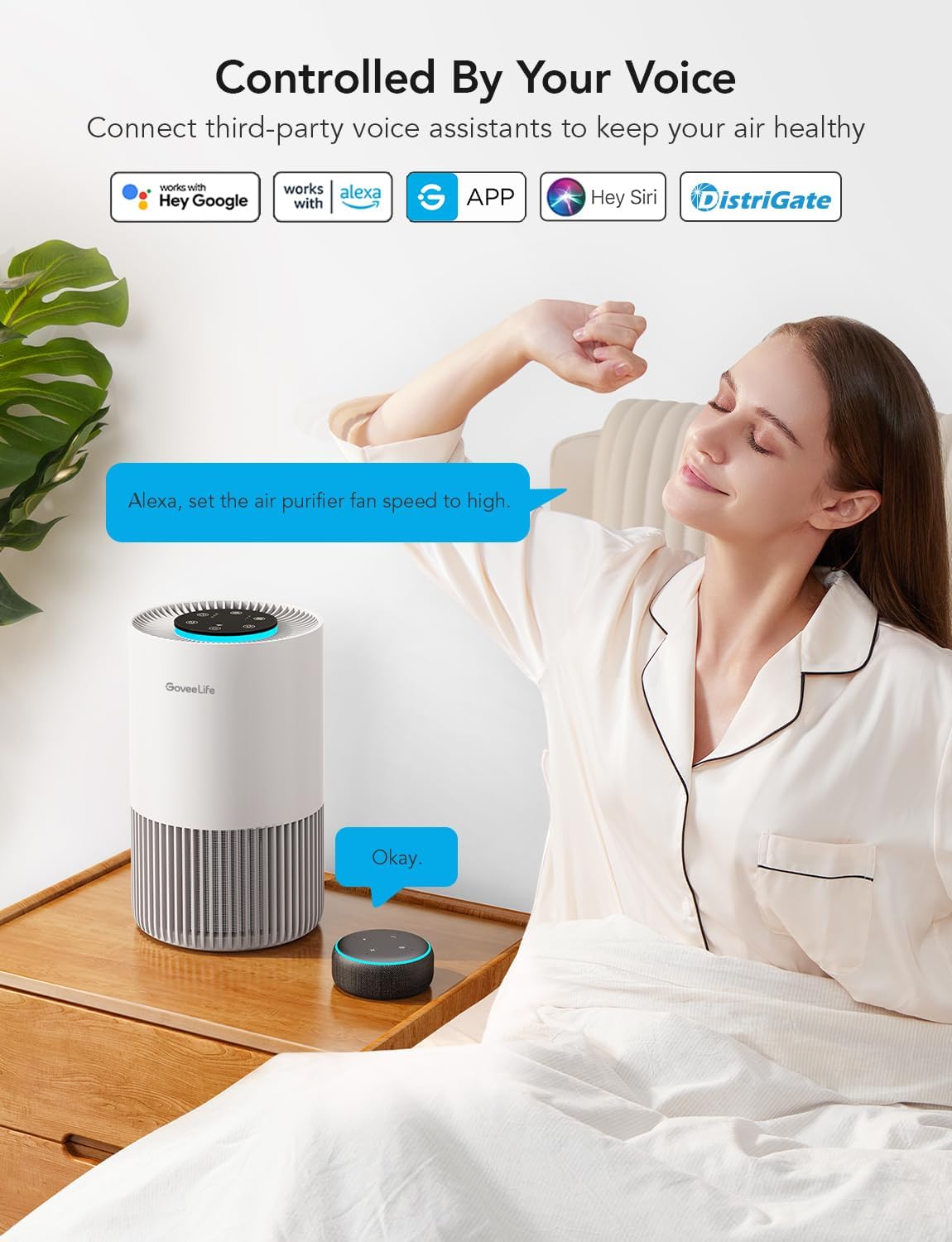 GoveeLife Smart Air Purifiers for Bedroom