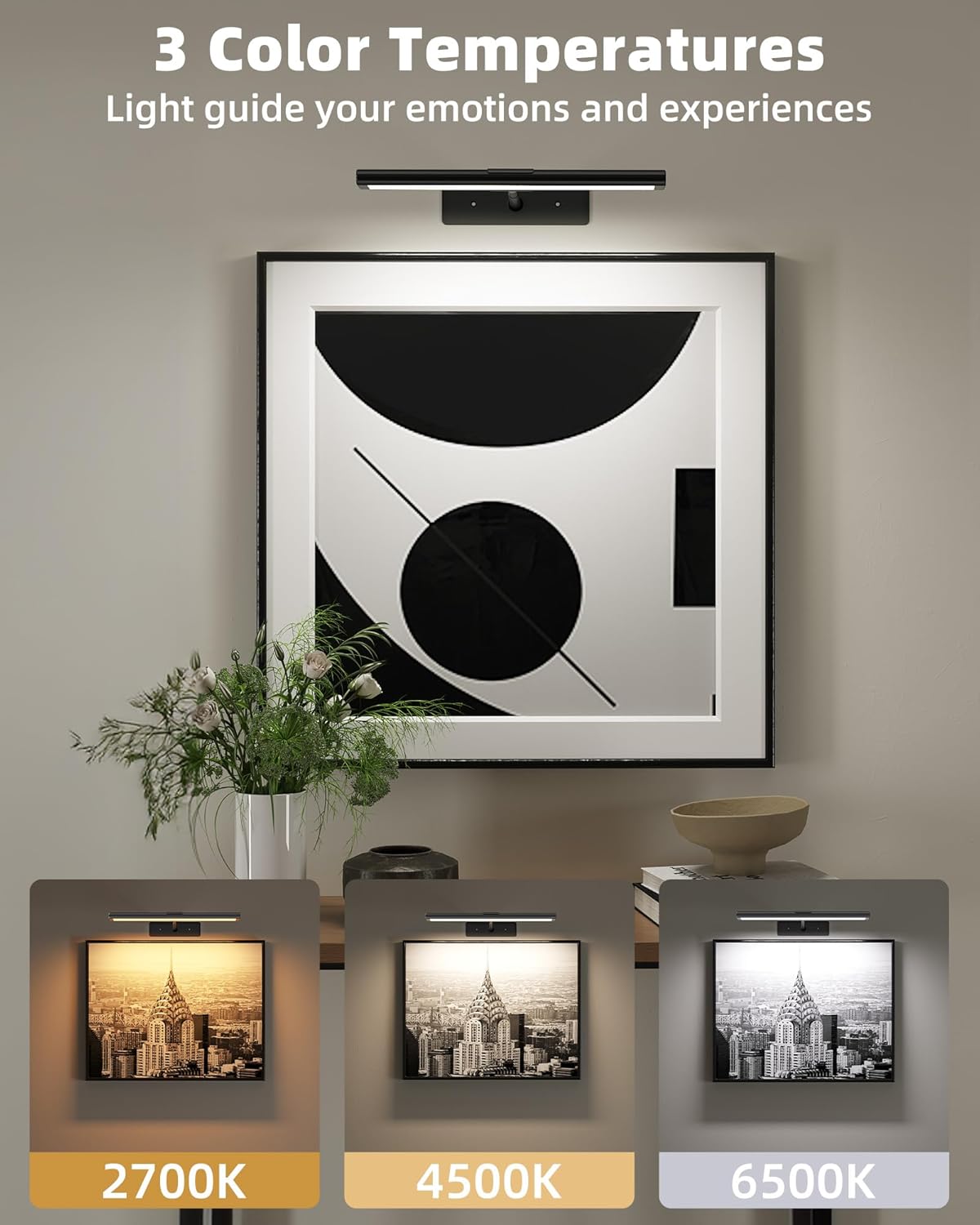 EZVALO Picture Light for Wall