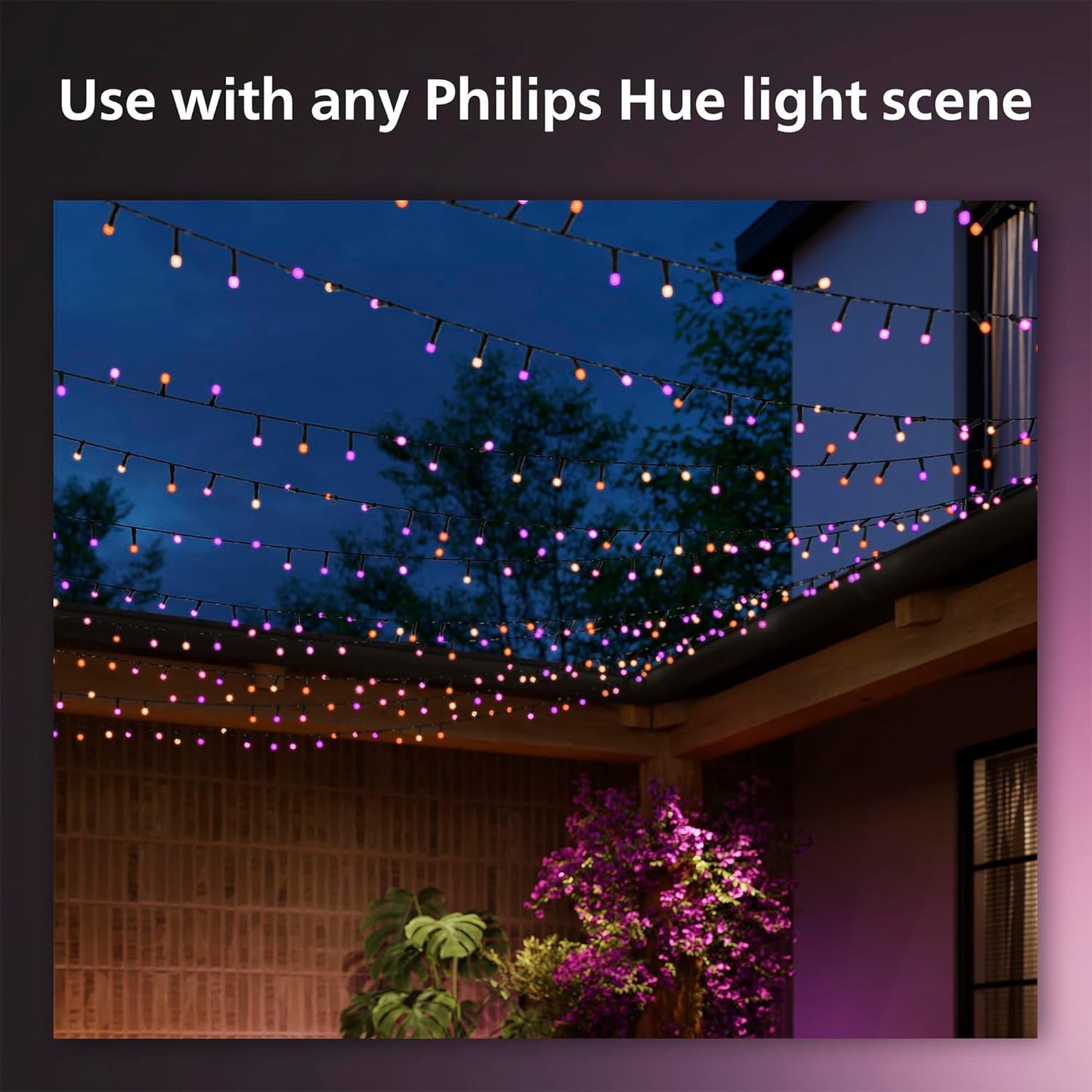 Philips Hue Indoor/Outdoor