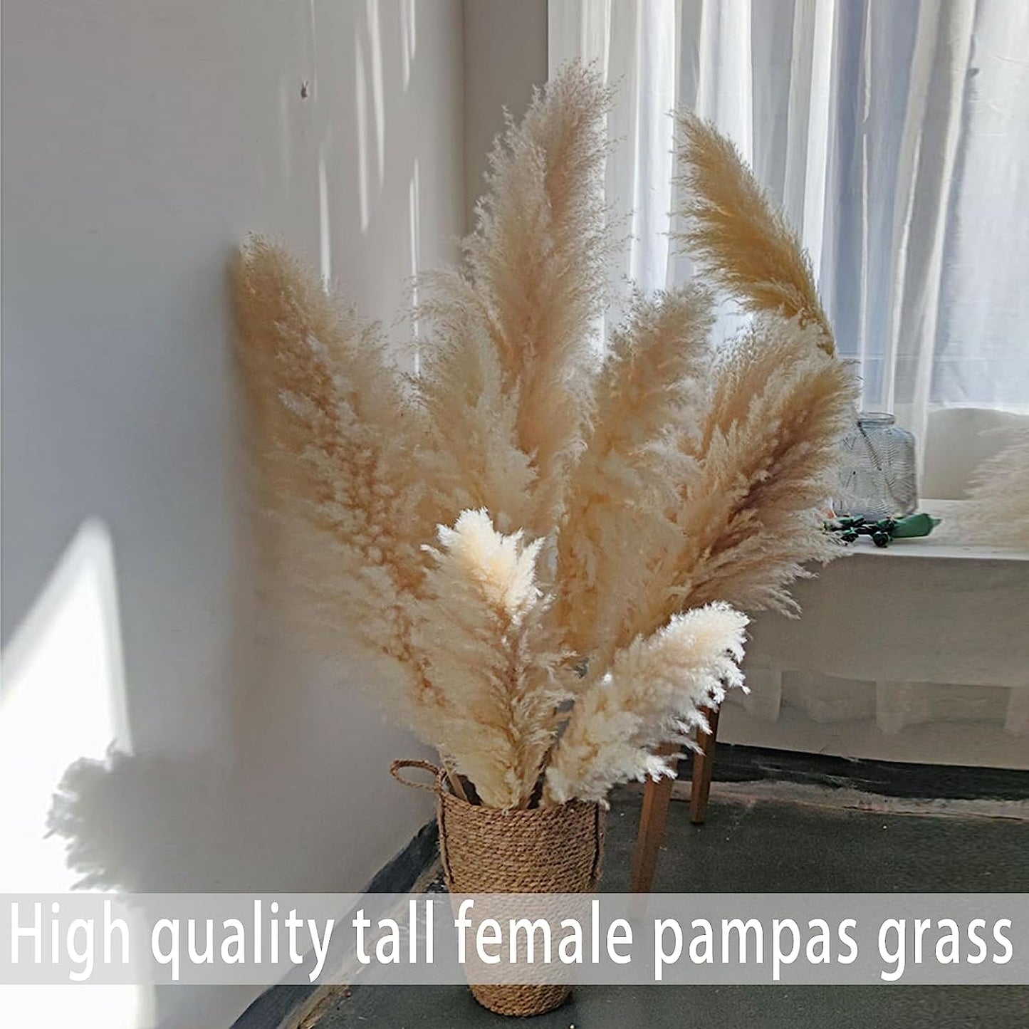 10 Stems 47In Natural Pampas Grass