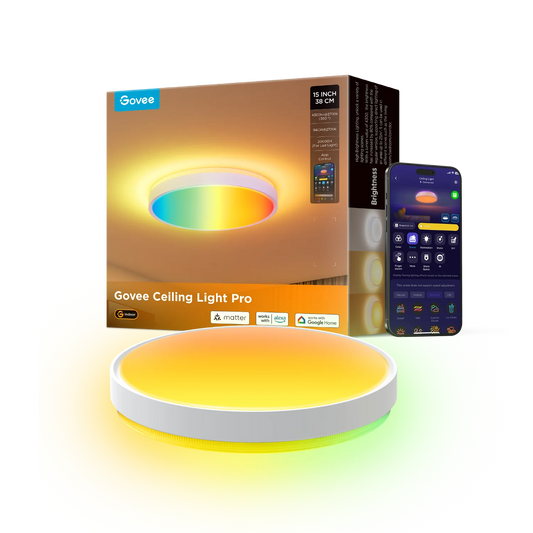 Govee 15-Inch RGBICWW Smart Ceiling Light Pro